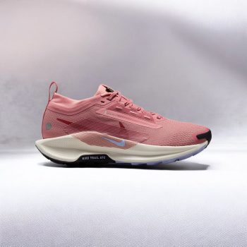 کفش (W) Nike Pegasus Trail 5 Gore-Tex