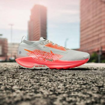 کفش Nike Pegasus Trail 5 Gore-Tex