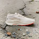 کفش Nike Pegasus Trail 5 Gore-Tex