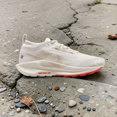 کفش Nike Pegasus Trail 5 Gore-Tex