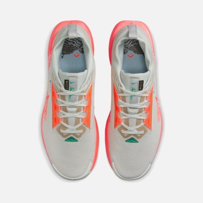 کفش Nike Pegasus Trail 5 Gore-Tex (M) - تصویر 4