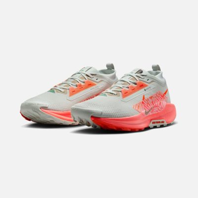 کفش Nike Pegasus Trail 5 Gore-Tex (M) - تصویر 3