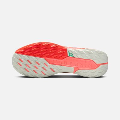 کفش Nike Pegasus Trail 5 Gore-Tex (M) - تصویر 6