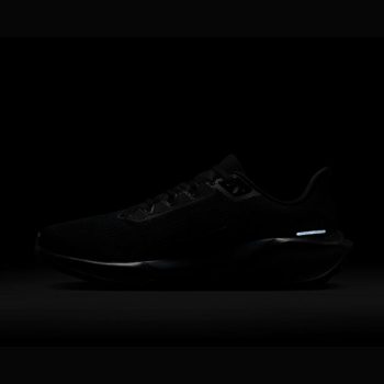 کفش (M) Nike Air Zoom Pegasus 41