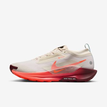 کفش Nike Pegasus Trail 5 Gore-Tex