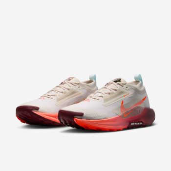 کفش Nike Pegasus Trail 5 Gore-Tex