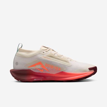 کفش Nike Pegasus Trail 5 Gore-Tex