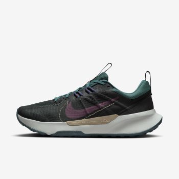 کفش Nike Juniper Trail 2
