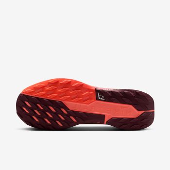 کفش Nike Pegasus Trail 5 Gore-Tex