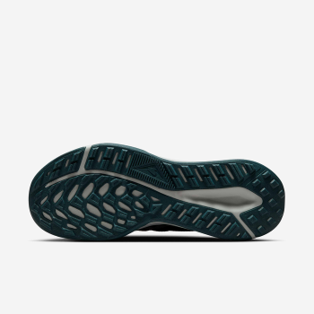 کفش Nike Juniper Trail 2
