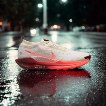 کفش Nike Pegasus Trail 5 Gore-Tex